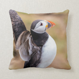 Puffinen kudder kudde