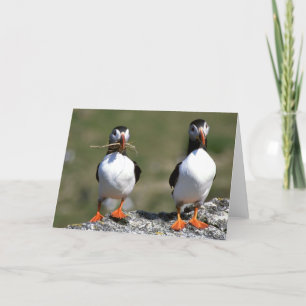 Puffinen parar det tomma hälsningkortet kort