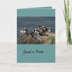 Puffinhälsningkort Kort