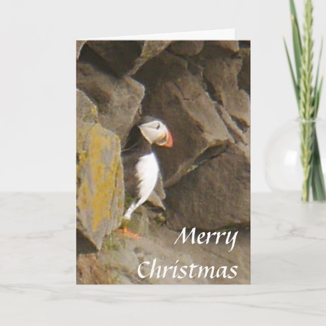 Puffinjulkort Helgkort (Framsida)