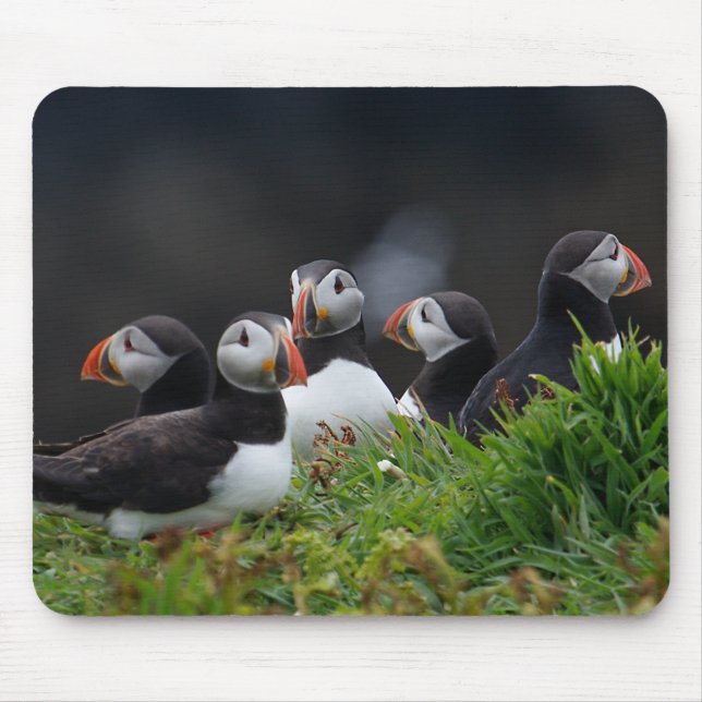 Puffinliga Musmatta (Framsidan)