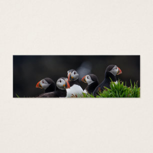 Puffinligan profilerar kortet litet visitkort