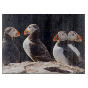 Puffins
