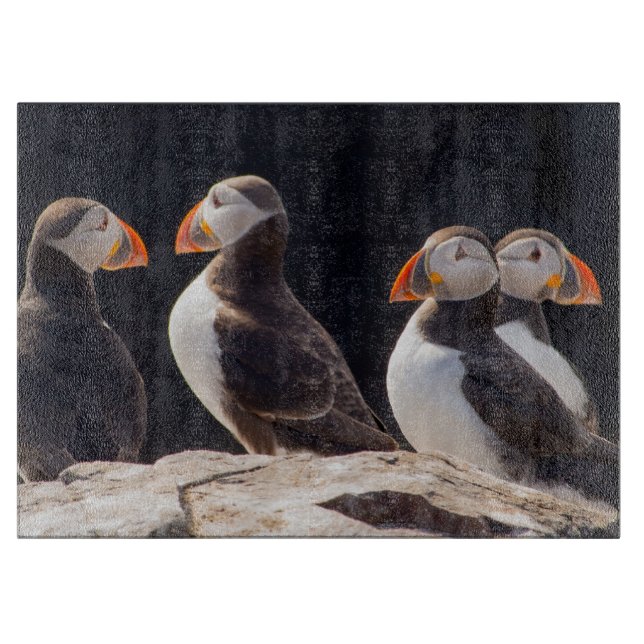 Puffins (Framsidan)