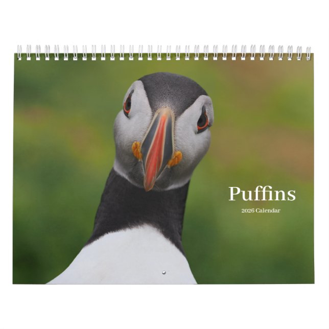 Puffins Calendar Kalender (Omslag)