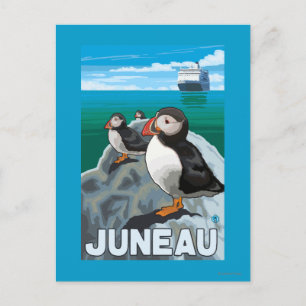 Puffins & Cruise Frakt - Juneau, Alaska Vykort