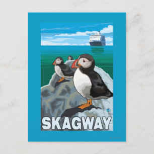 Puffins & Cruise Frakt - Skagway, Alaska Vykort