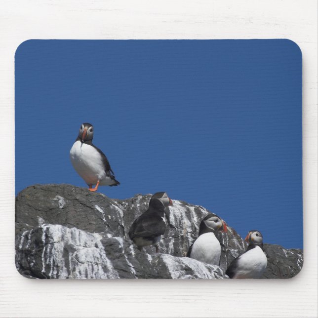 Puffins Musmatta (Framsidan)