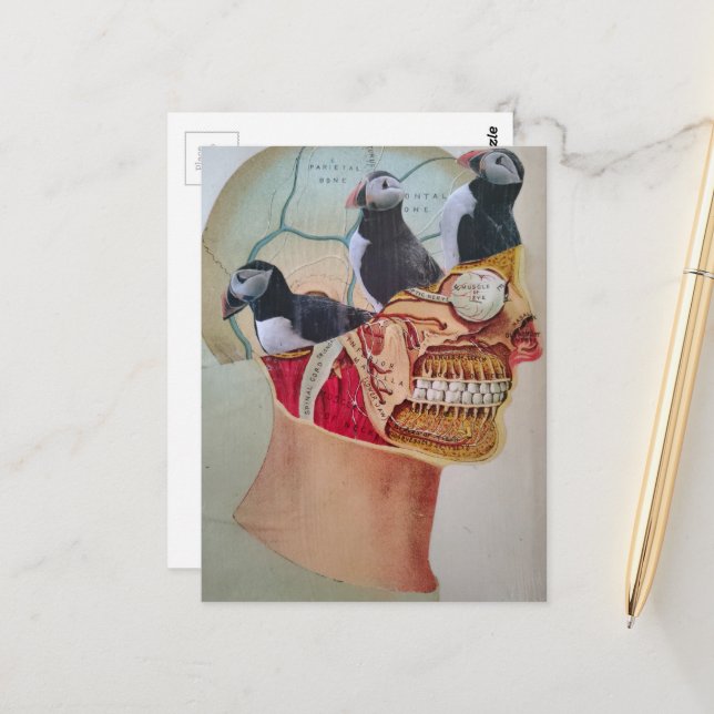 Puffins on the Brain Surreal mixed media collage  Vykort (Fram/Back In Situ)