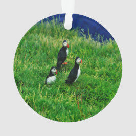 Puffins Ornament