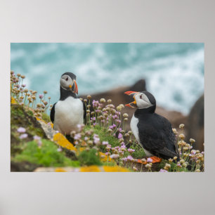 PUFFINS - SALTEE-ÖAR, IRLAND POSTER