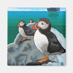 Puffins som håller ögonen på en kryssningfrakt magnet