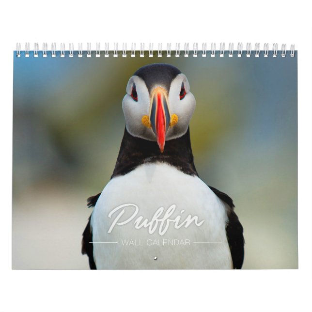 Puffinväggkalender Kalender (Omslag)