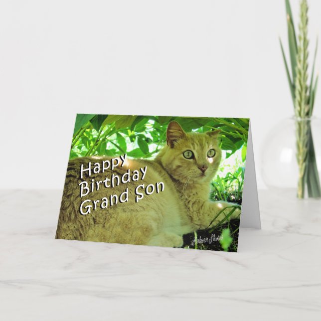 Puffnederlag Kort (Framsida)