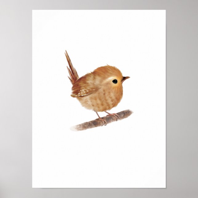 Puffy Wren Bird Print Poster (Framsidan)