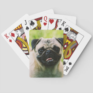 pug-13 kortlek