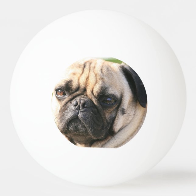 pug-18 pingisboll (Framsidan)