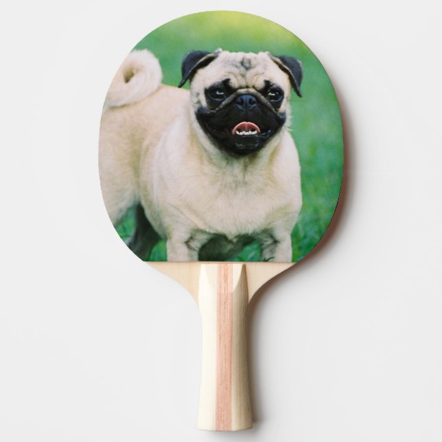 pug-30.jpg pingisracket (Framsidan)