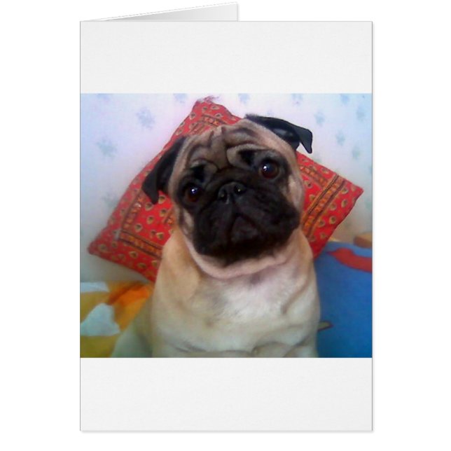 pug 4.png hälsningskort (Framsidan)