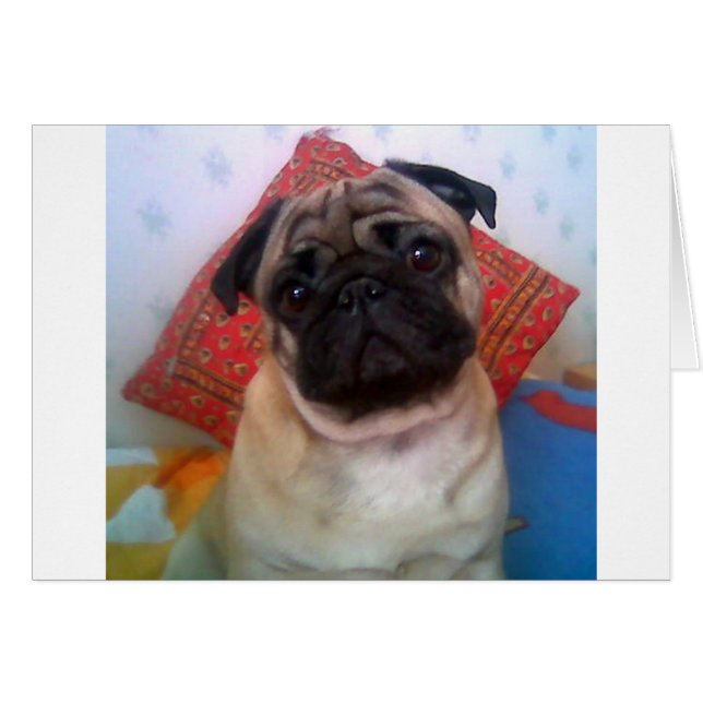 pug 4.png hälsningskort (Framsidan Horizontal)