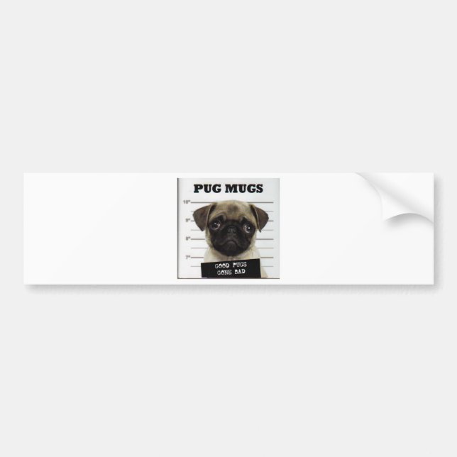 pug_5 bildekal (Framsidan)