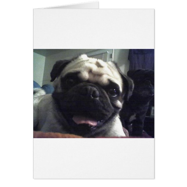 Pug 5.png hälsningskort (Framsidan)