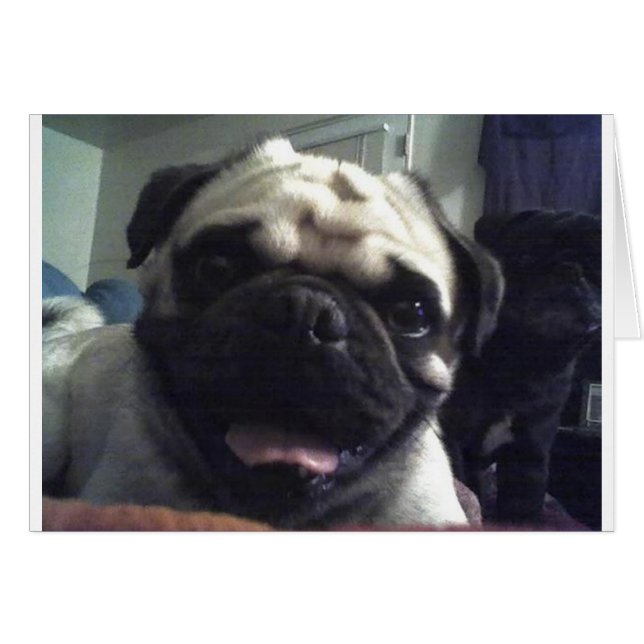 Pug 5.png hälsningskort (Framsidan Horizontal)