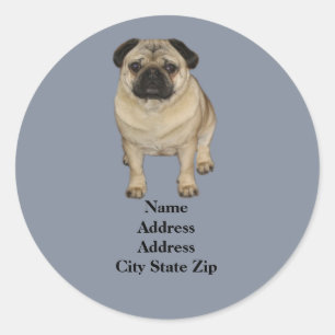 Pug Address Label Runt Klistermärke