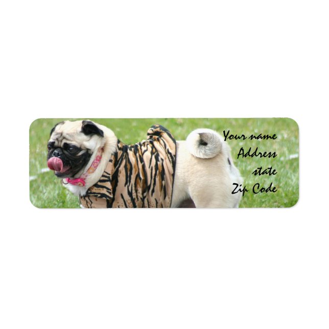 Pug Adressetiketter Returadress Etikett (Framsidan)