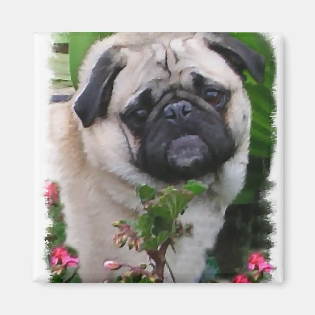 Pug Älskare Gifts Magnet (Framsidan)