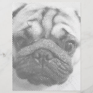 Pug Ansikte