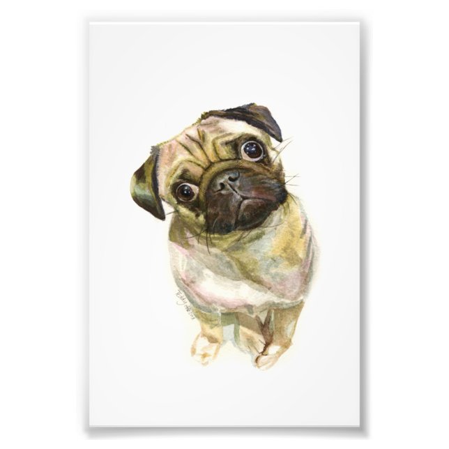 Pug Ansikte Art-utskrift | Cute Pug Hund Fototryck (Framsidan)