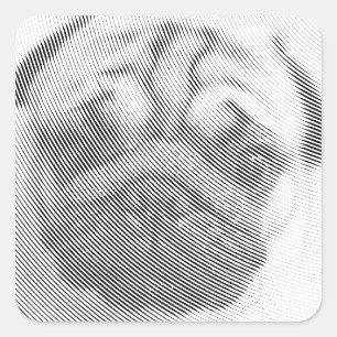 Pug Ansikte Fyrkantigt Klistermärke