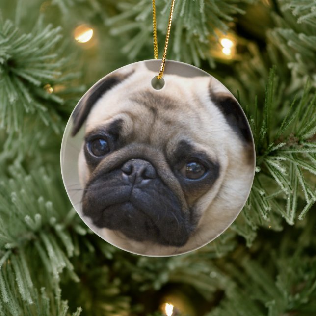 Pug Ansikte Julgransprydnad Keramik (Träd)