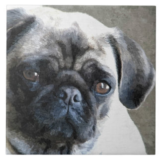 Pug Ansikte Kakelplatta