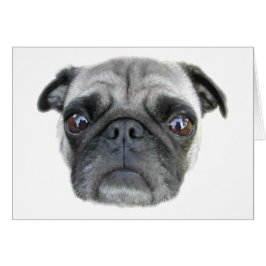 Pug Ansikte-kort Hälsningskort