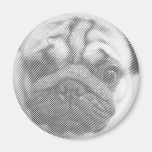 Pug Ansikte Magnet