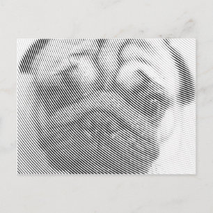 Pug Ansikte Vykort