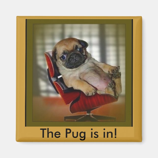 Pug är inne! magnet (Framsidan)
