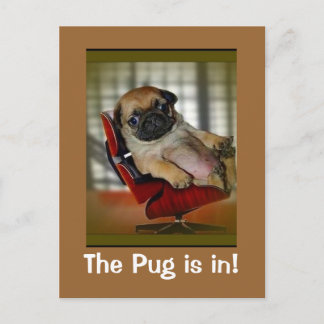 Pug är inne! vykort