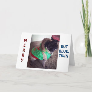 PUG ÄR "MERRY" MEN "BLUE" CHRISTMAS UTAN "TWIN" HELGKORT