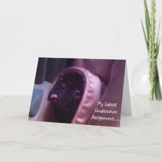 Pug Birthday Card Kort