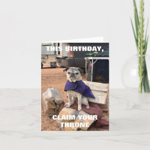 Pug Birthday Card Lily the Pug sarkastisk Kort