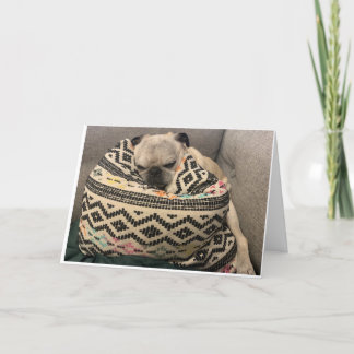 Pug Birthday Card - Lycklig Ställe Kort