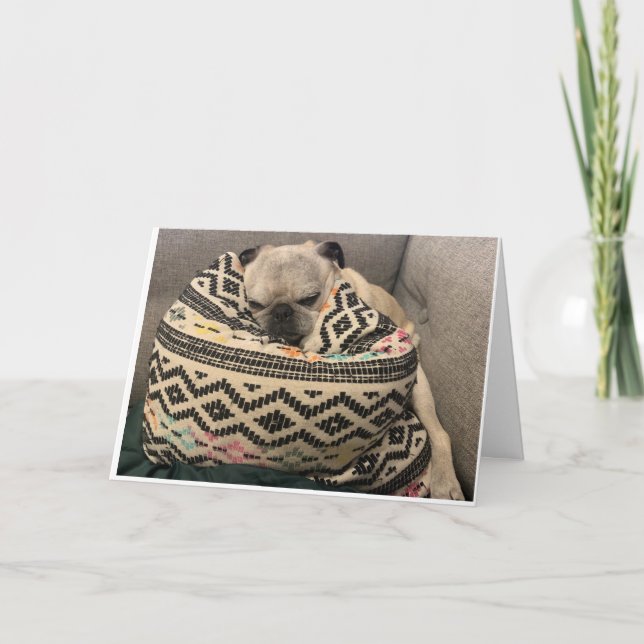 Pug Birthday Card - Lycklig Ställe Kort (Framsida)