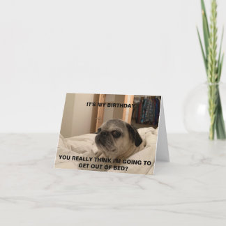 Pug Birthday Card, sarkastiskt kort