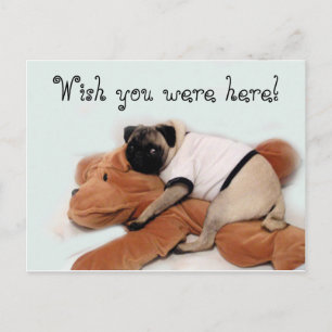 Pug Blues Vykort