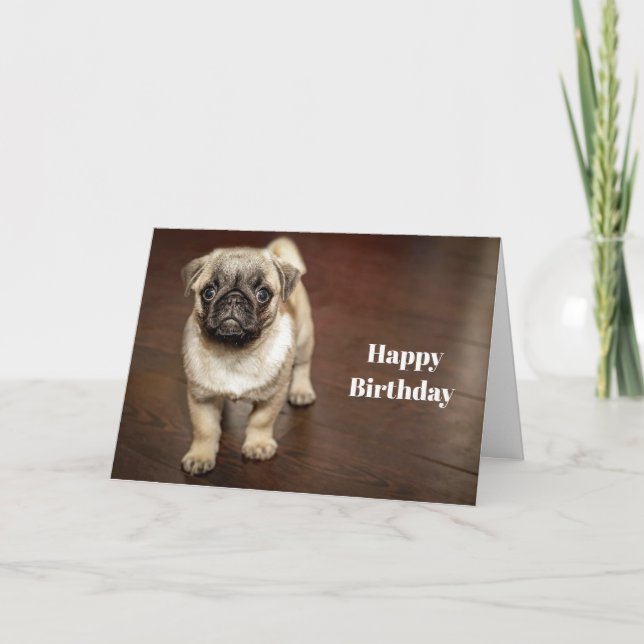 Pug Brown Hund Foto födelsedag Kort (Framsida)