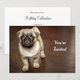 Pug Brown Hund Photo Birthday Inbjudningar
