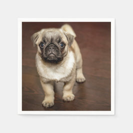 Pug Brown Hund Photo Pappersservett